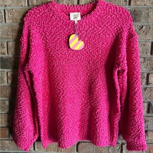Hayden Vibrant Pink Cozy Crew Neck Sweater
